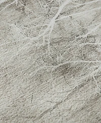 Addison Mayfield AMF2083 10'x14' Area Rug