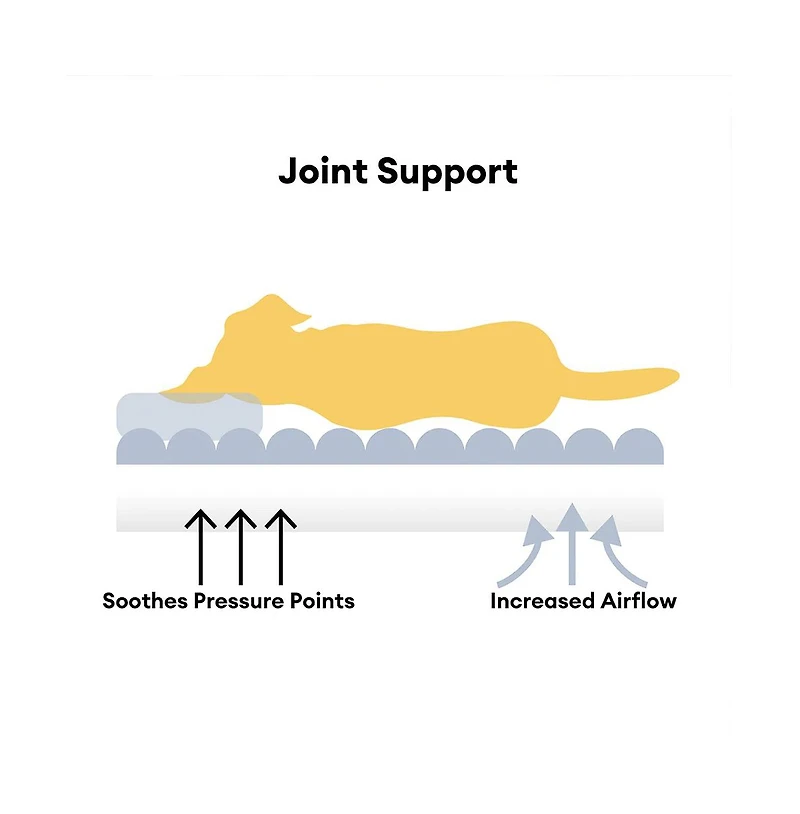 FunnyFuzzy Washable Fluffy Dog Sofa Bed