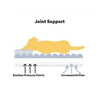 FunnyFuzzy Washable Fluffy Dog Sofa Bed