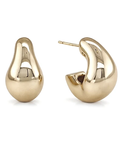 And Now This Oblong C-Hoop Earrings