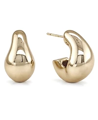 And Now This Oblong C-Hoop Earrings