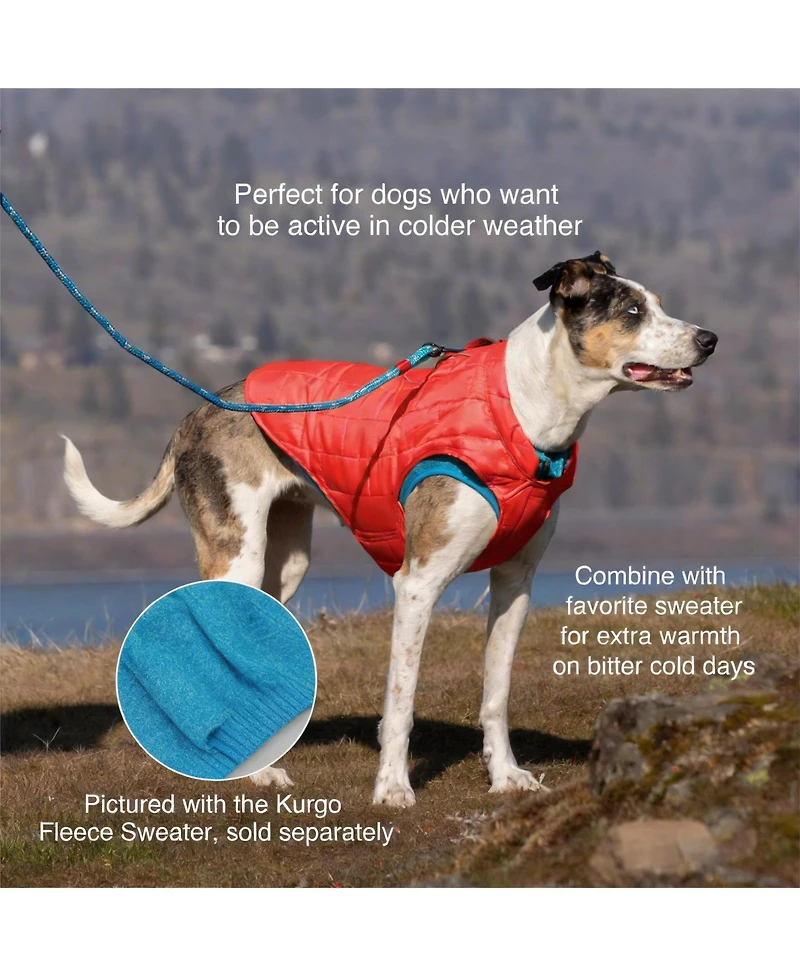 Aronkl Loft Dog Jacket: Insulated, Reversible, Water-Resistant, Reflective