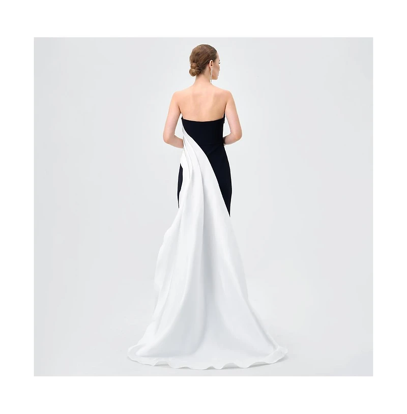 Bariano Women's Yulitza Asymmetric Gown