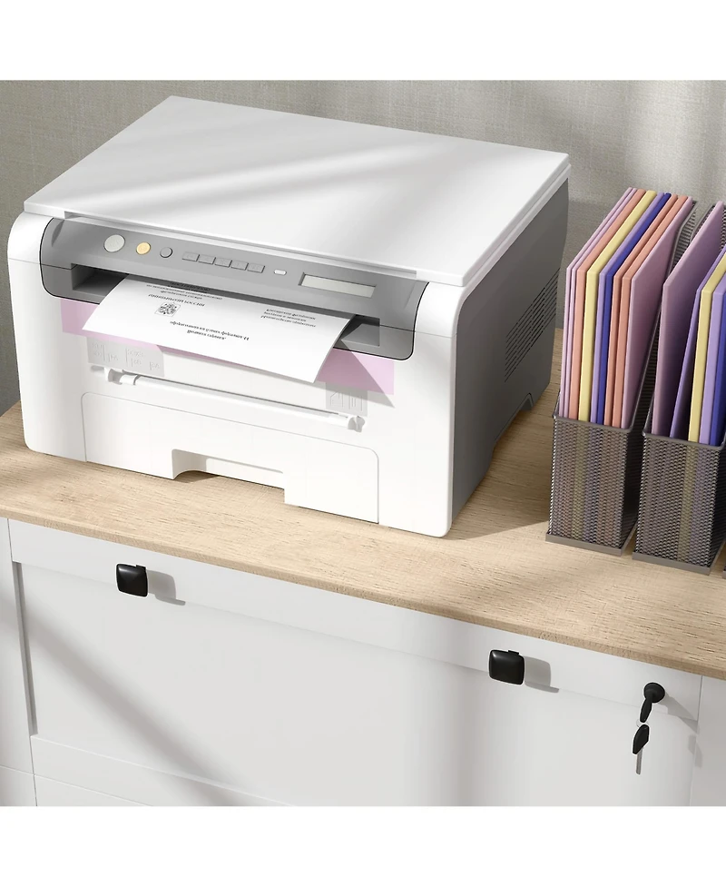 Rainsken File Cabinet, Lateral Locking Filing Cabinet with 2-Drawer and Adjustable Hanging Bar for Letter/A4/Legal, Home Office Storage Cabinet