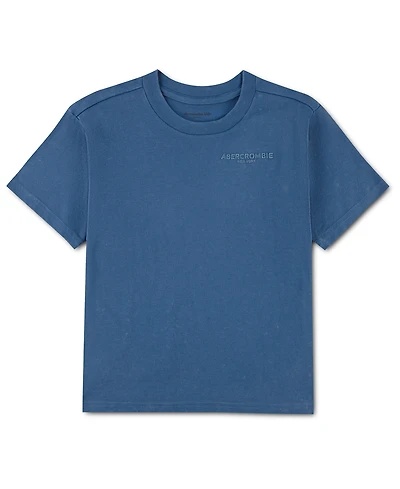 abercrombie kids Boys' 8-20 Sunfaded Knit Top