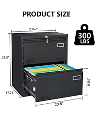 Rainsken 2 Drawer Lateral File Cabinet with Lock