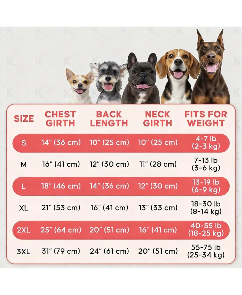 Aronkl 2-Pack Lightweight Athletic Dog T-Shirt with Reflective Label for Outdoor Use