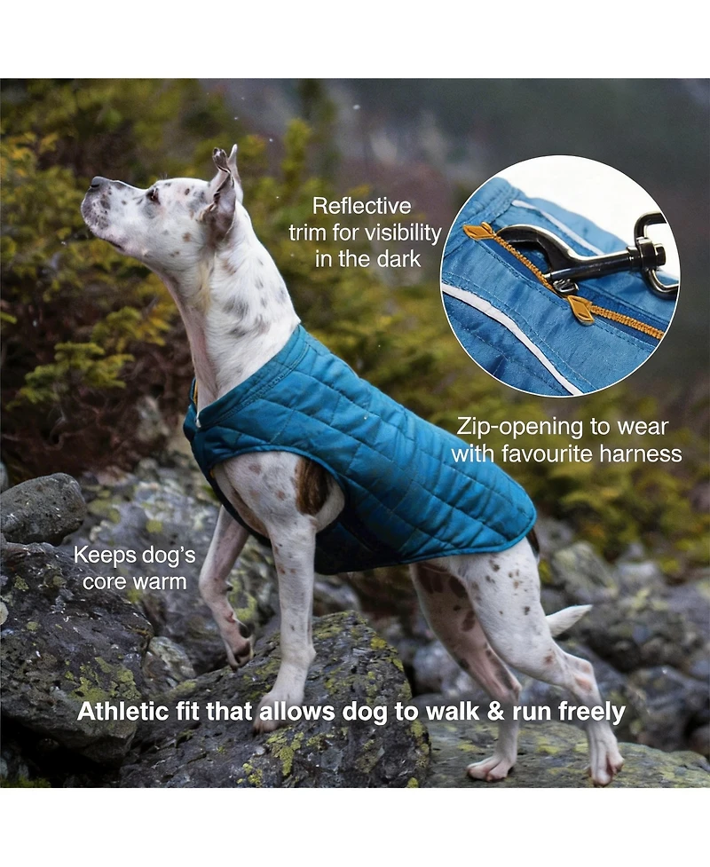 Aronkl Loft Dog Jacket: Insulated, Reversible, Water-Resistant, Reflective, Adventure Ready