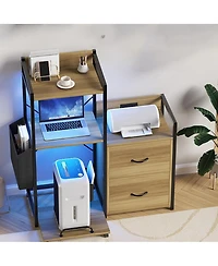 gaomon 2 Drawer File Cabinet for Letter