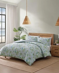 Tommy Bahama Home Floral Enchantment Cotton Reversible 3-Pc. Duvet Cover Set