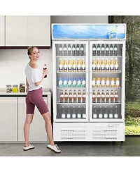 gaomon Commercial Refrigerators, 25.3 Cu.Ft. Upright Display Fridge, Beverage Cooler with Led Light, Adjustable Shelves