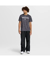 Nike Men's Black Detroit Tigers Velocity Dri-fit T-Shirt