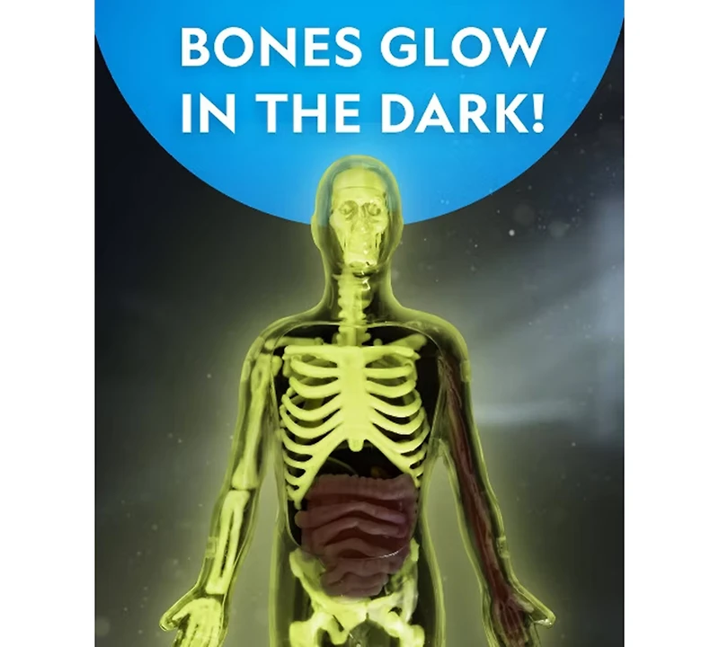 National Geographic Glow-In-The-Dark Human Body