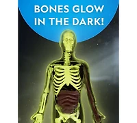National Geographic Glow-In-The-Dark Human Body