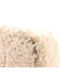 Pre-Owned Celine Mini Triomphe Shoulder Bag Shearling