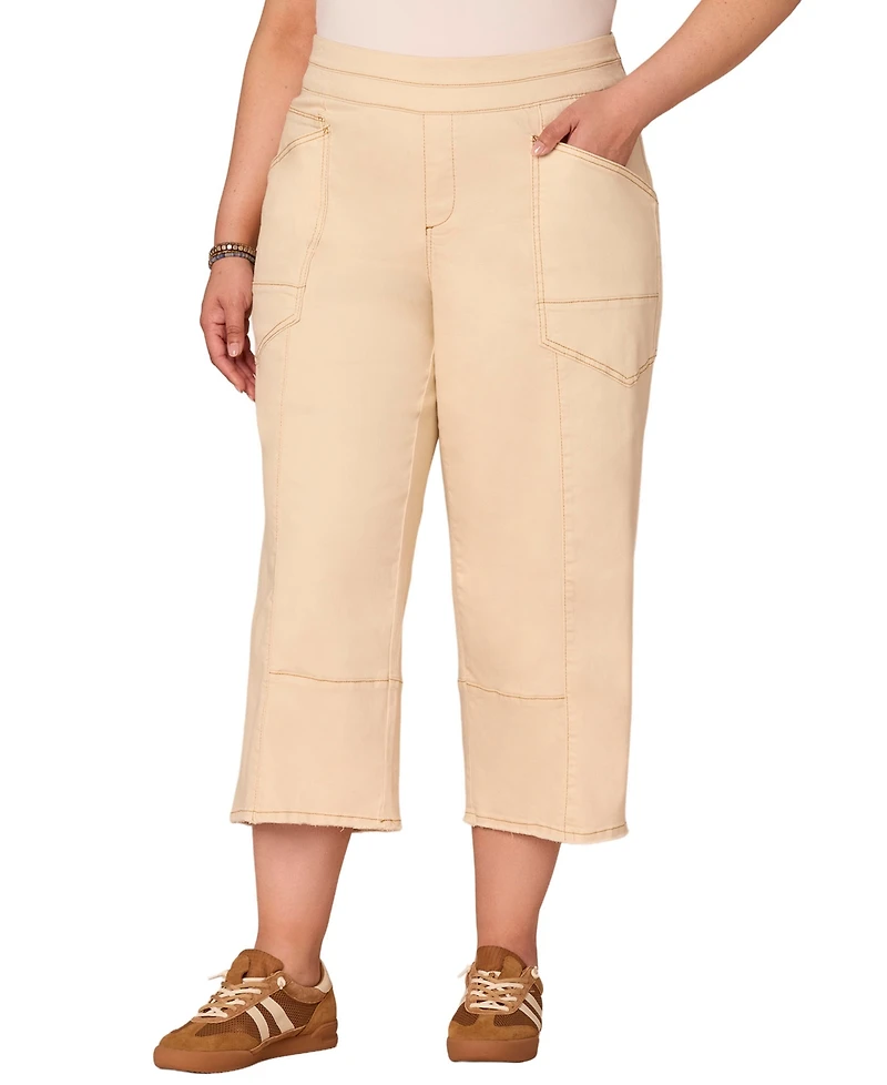 Democracy Plus Sky-Rise Cropped Wide-Leg Pants