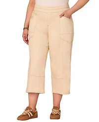 Democracy Plus Sky-Rise Cropped Wide-Leg Pants