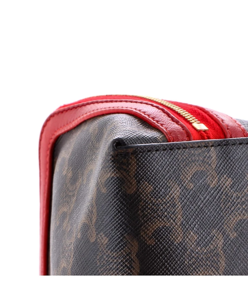 Pre-Owned Celine Zip Around Chain Clutch Triomphe Coated Canvas