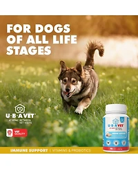 Ubavet Multivit Daily Vitamin and Mineral Tablet for Dogs – Comprehensive Nutritional Support – (90 ct)