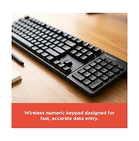 RadioShack 2.4GHz Wireless Numeric Keypad