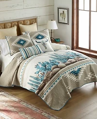 Donna Sharp Cacti Soft 2-Pc. Quilt Set, Twin