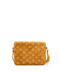 Pre-Owned Celine Teen Triomphe Shoulder Bag Triomphe Suede