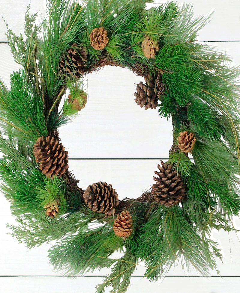Northlight 24" Pine Cones and Mixed Pine Needles Christmas Wreath - Unlit