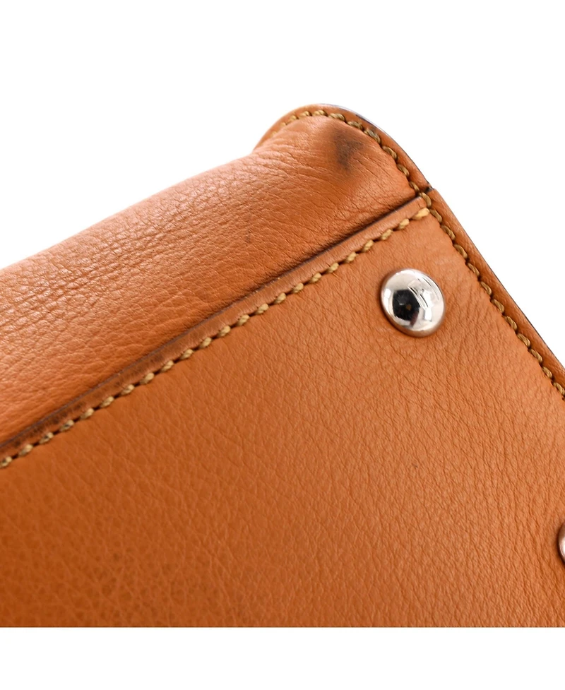 Pre-Owned Fendi Regular Peekaboo Bag Leather with Plexiglass Detail