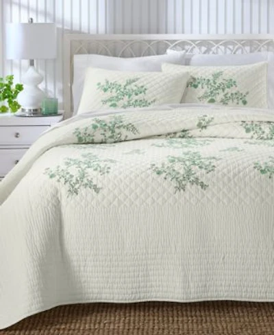 Charter Club Eden Embroidery Quilt Set Macys Exclusive