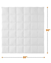 Cheer Collection Luxury All Season Down Alternative Comforter