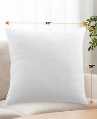 Cheer Collection Natural Kapok 2-Pack Pillow Inserts
