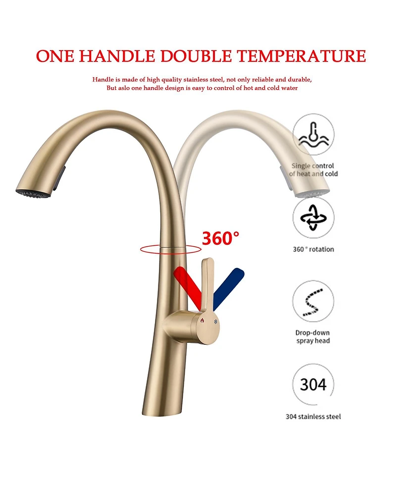 Busdays Single Handle Stainless Steel Pull Out Kitchen Faucet