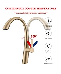 Busdays Single Handle Stainless Steel Pull Out Kitchen Faucet
