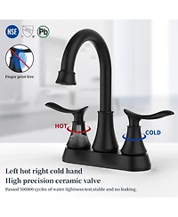 Busdays 2-Handle 4-Inch Matte Bathroom Faucet, Bathroom Vanity Sink Faucets with Pop-up Drain and Supply Hoses