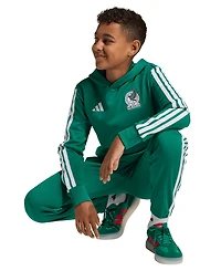 adidas Big Boys' and Girls' Mexico Dna Hoodie