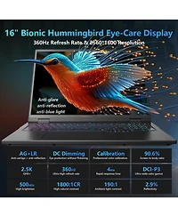 Thunderobot Zero 16 Traditional Laptop Intel Core Ultra 9 ,32GB Ram Nvidia GeForce Rtx 5080 1TB Ssd Storage Windows 11 Home 360Hz