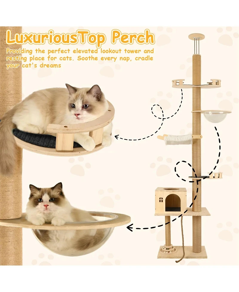 Zeus and Ruta Floor To Ceiling Cat Tree 6 Level Adjustable Height Climbing Tower Thickened Scratching Posts Transparent Capsule Cozy Hammock
