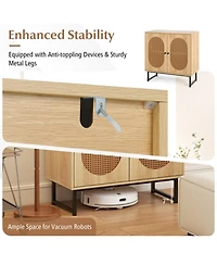 Gouun Rattan Door Buffet Cabinet with Adjustable Shelf