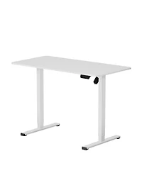 FlexiSpot EC2 48"x24" Electric Height-Adjustable Standing Desk