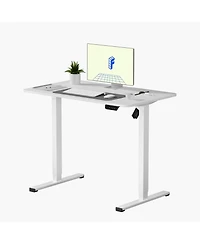 FlexiSpot EC2 40"x24" Electric Height-Adjustable Standing Desk