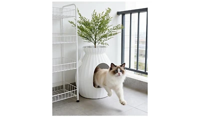 Zeus and Ruta Smart Cat Litter Box with Electronic Odor Removal and Sterilization for Indoor Cats