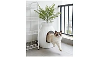 Zeus and Ruta Smart Cat Litter Box with Electronic Odor Removal and Sterilization for Indoor Cats