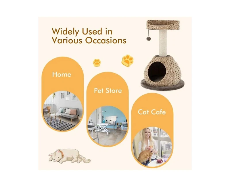 Zeus and Ruta 28 Inch Hand Made Cat Tree Tower with Jump Platform for Indoor Cats