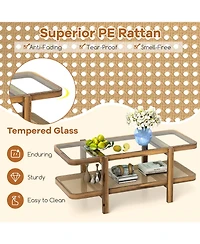 Slickblue Glass Coffee Table 2 Tier with Storage Shelf