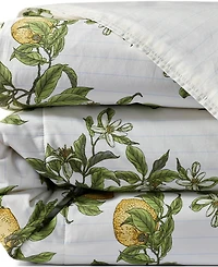 Lands' End 300 Thread Count Cotton Smooth Percale Printed Comforter