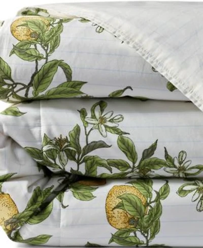 Lands End 300 Thread Count Cotton Smooth Percale Printed Comforter
