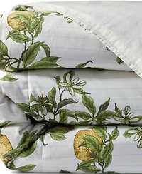 Lands End 300 Thread Count Cotton Smooth Percale Printed Comforter