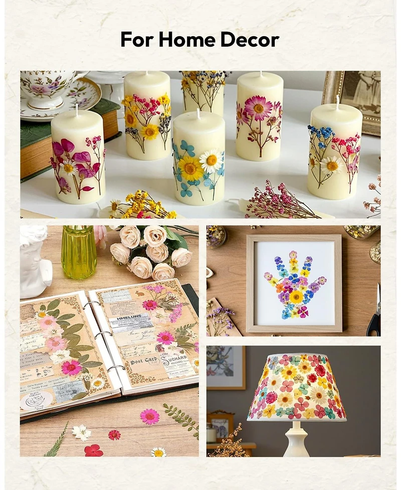 Gnuadz 100pcs Dried Flowers Pressed Leaves Craft Kit Diy Soap Candle Scrapbook Card Making Supplies