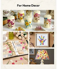 Gnuadz 100pcs Dried Flowers Pressed Leaves Craft Kit Diy Soap Candle Scrapbook Card Making Supplies