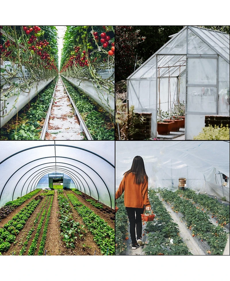 Sugift 12 x 25 Ft Uv Resistant Polyethylene Greenhouse Plastic Film 6 Mil